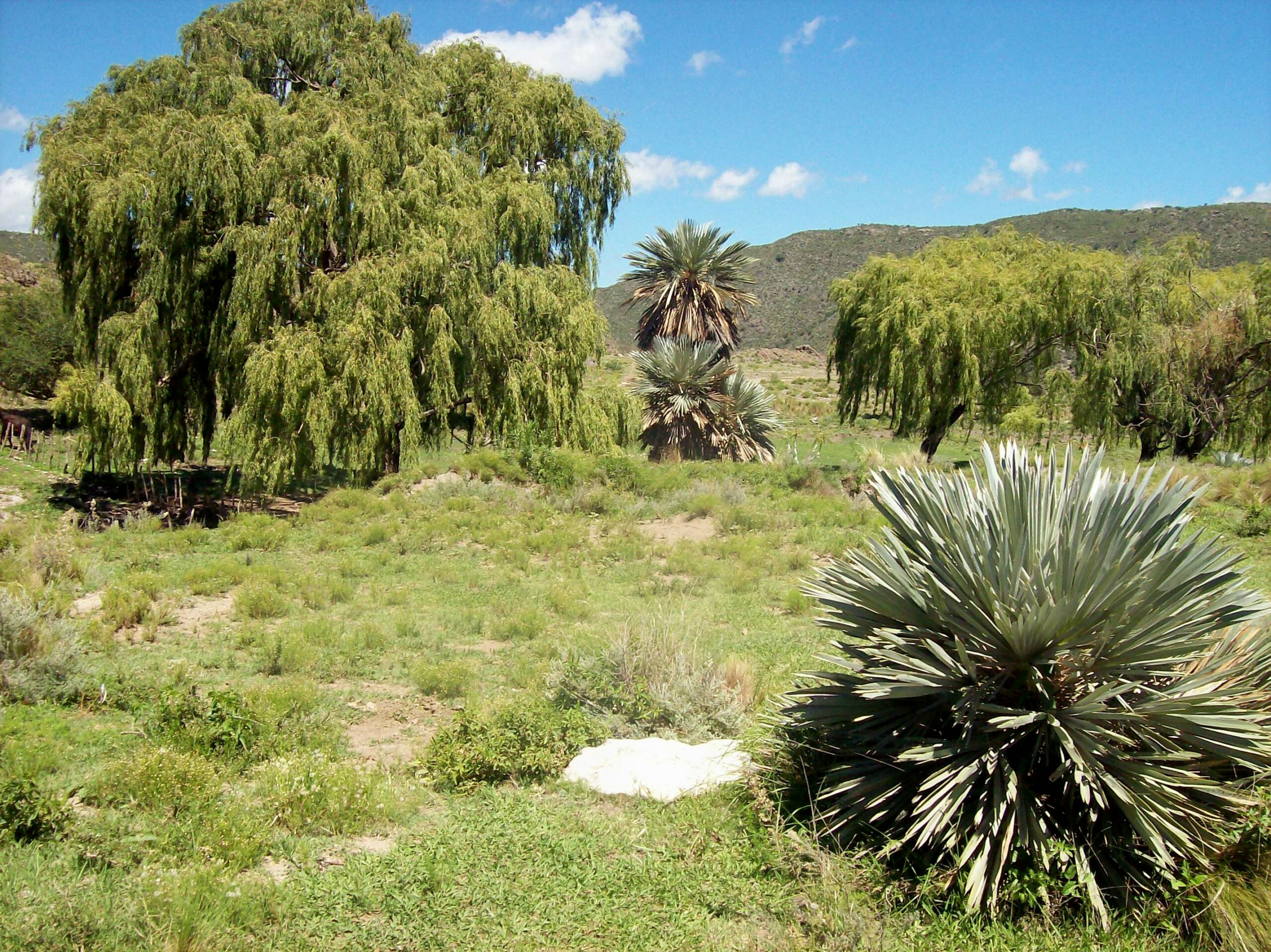 Sumampa, Santiago del Estero: Un Cruce Cultural en el Corazón del Norte