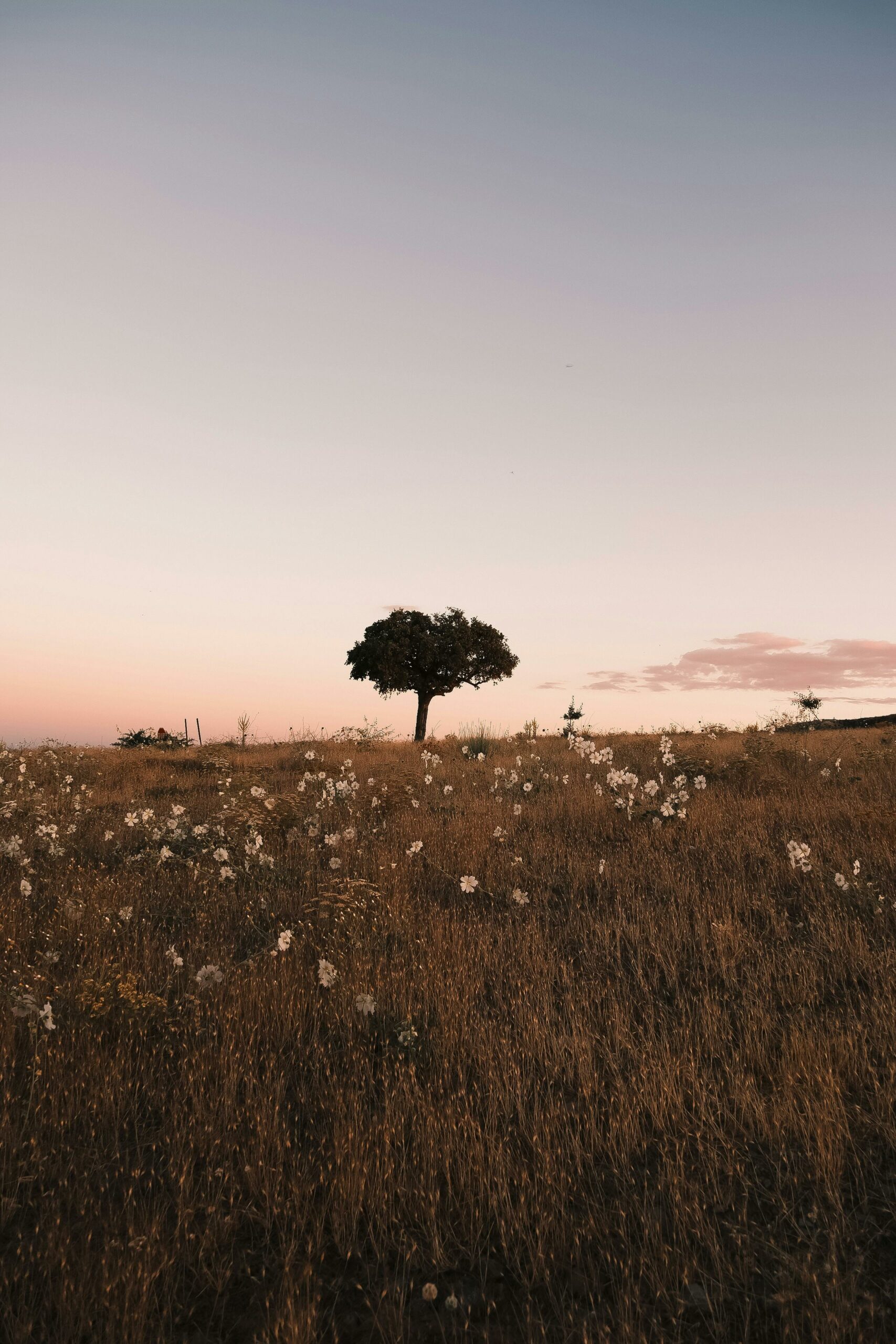 Pinto, Santiago del Estero: Un Remanso de Paz Rural